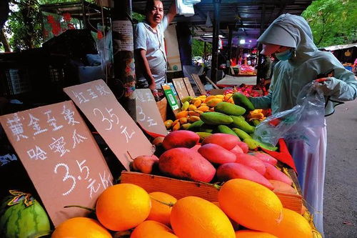 文明守护人间烟火气——南宁地摊经济下的日用百货销售观察